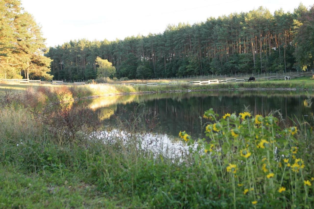 Quatro Osrodek Jezdziecki - Gospodarstwo Agroturystyczne โปเบียดยิสกา ภายนอก รูปภาพ